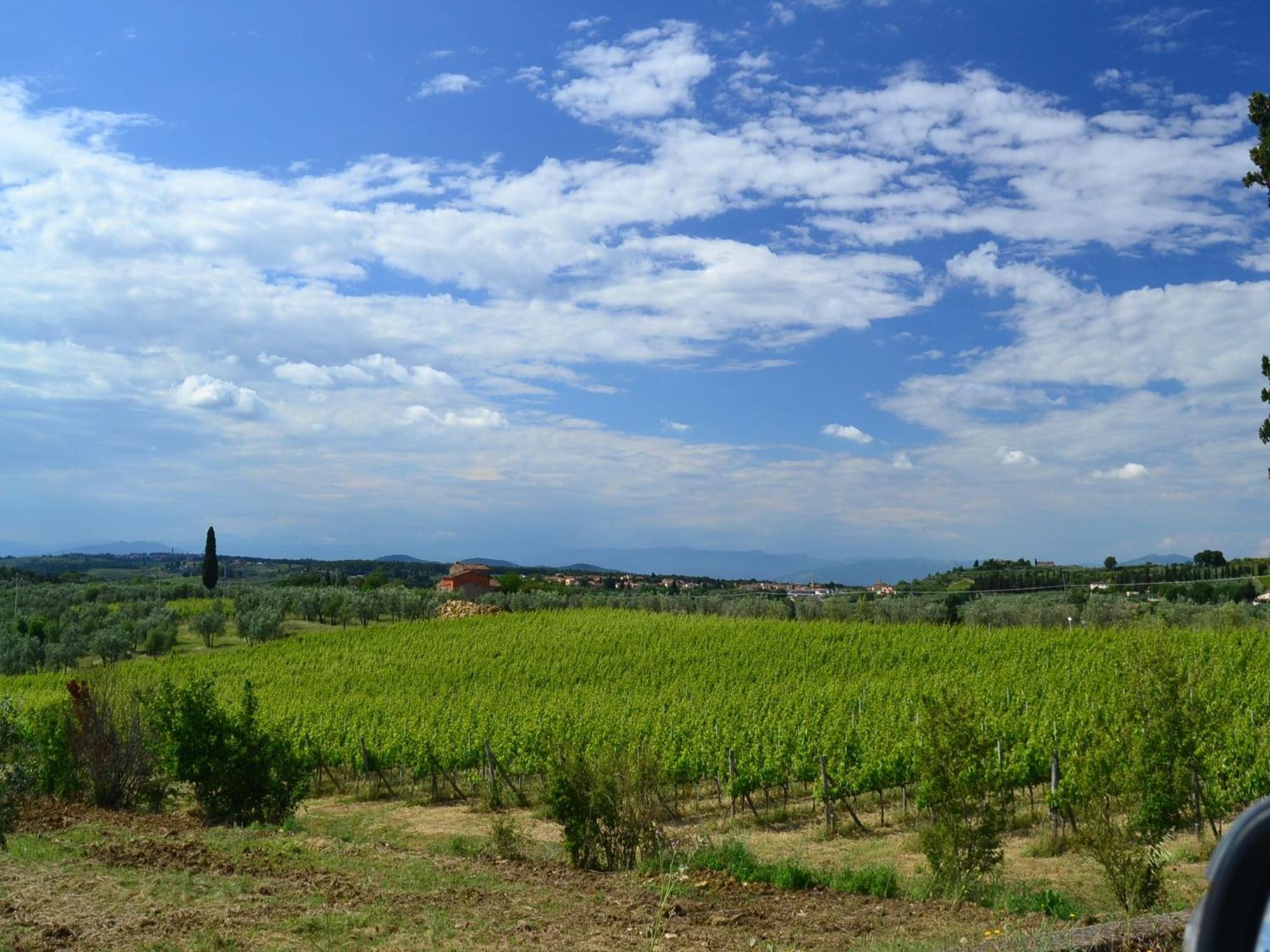 Lovely Holiday Home In Montefiridolfi With Hill View Exterior foto