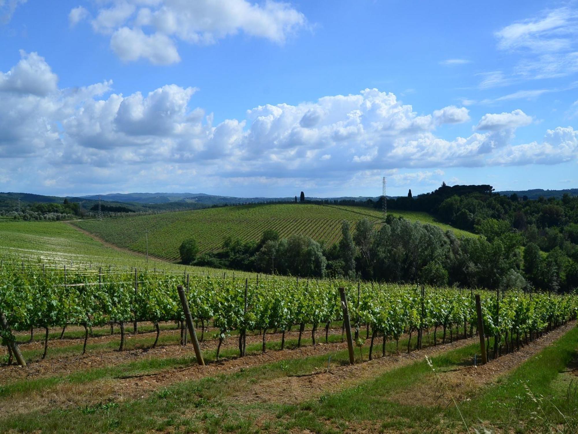 Lovely Holiday Home In Montefiridolfi With Hill View Exterior foto